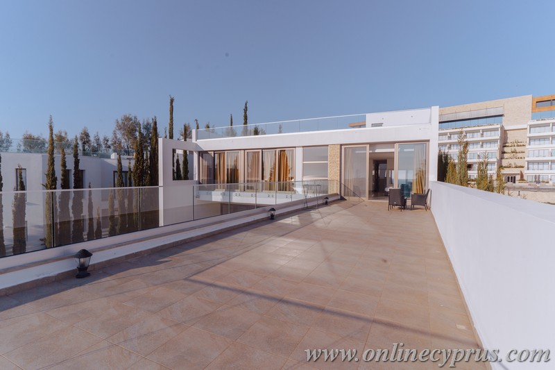 Luxury villa for long term rent 