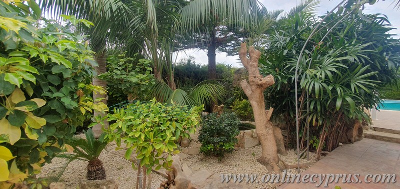 Spacious villa for long term rent in Mesoyi 